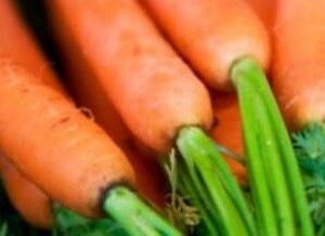 ZANAHORIAS DE COLORES (12 U.)