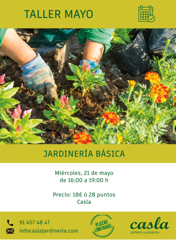 Taller Jardinería Básica – Miércoles 21 de Mayo
