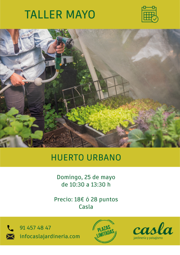 Taller de huerto urbano: montaje y mantenimiento – Domingo 25 de Mayo