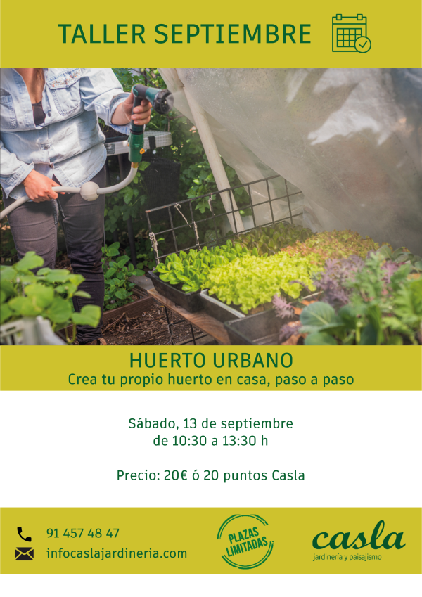 Taller de huerto urbano – Sábado 13 de Septiembre