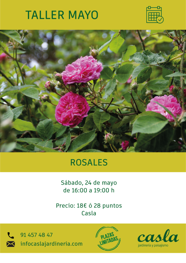 Taller de Rosales - Sábado 24 de Mayo