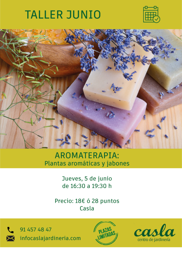 Taller de Aromaterapia  – Jueves 5 de Junio