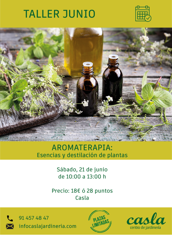 Taller de Aromaterapia  – Sábado 21 de Junio
