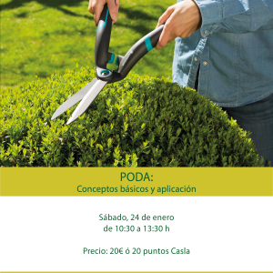 Taller de poda. Conceptos básicos y aplicación – Sábado 24 de enero