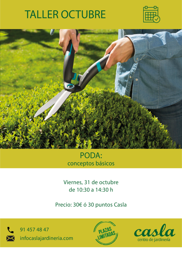 Taller de poda. Conceptos básicos – Viernes 31 de octubre