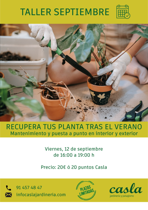 Taller cómo recuperar tus plantas tras el verano - Viernes 12 de Septiembre