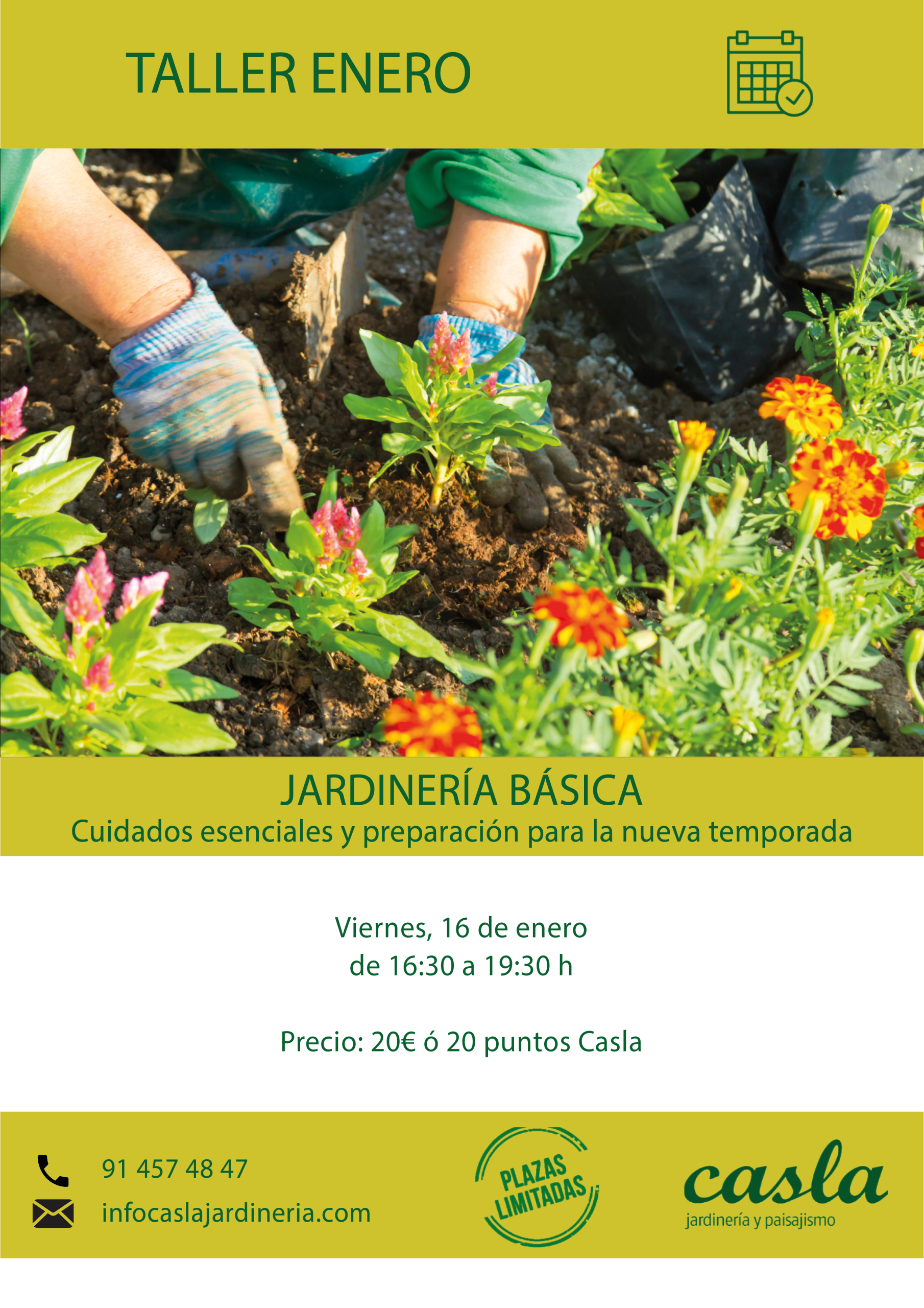 Taller Jardinería Básica: lo esencial para tener tu espacio verde con vida – Viernes 16 de enero