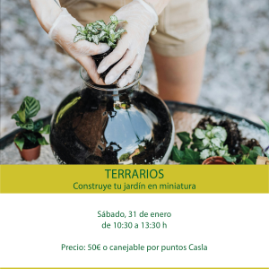 Taller de terrarios: construye tu jardín en miniatura – Sábado 31 de Enero
