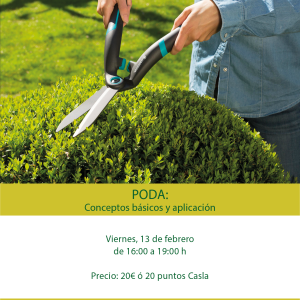 Taller de poda. Conceptos básicos y aplicación – Viernes 13 de febrero