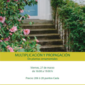 Taller de multiplicación y propagación de plantas ornamentales – Viernes 27 de Marzo