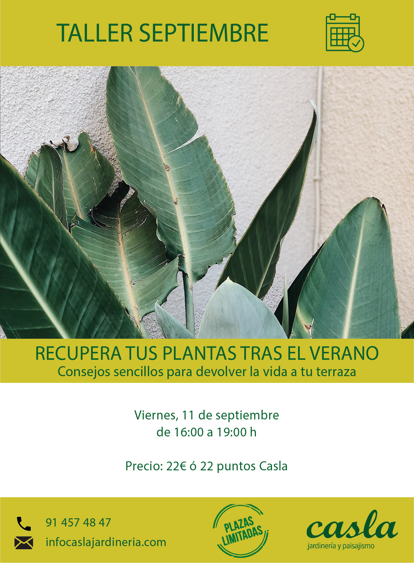 Taller recupera tus plantas después del verano - Viernes 11 de Septiembre