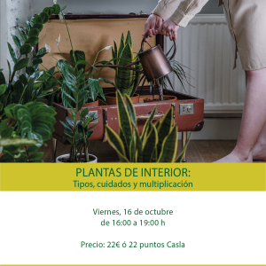 Taller plantas de interior – Viernes 16 de Octubre